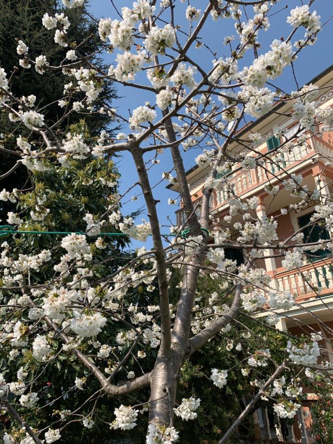 Resort Villa Rosa Maria 사보나 외부 사진