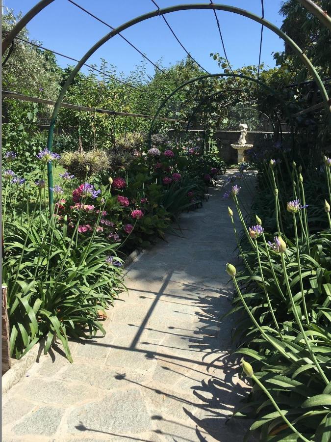 Resort Villa Rosa Maria 사보나 외부 사진